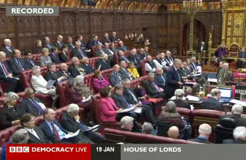 Lord Lexden in the House of Lords